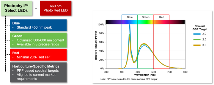 A screenshot of a screenDescription automatically generated
